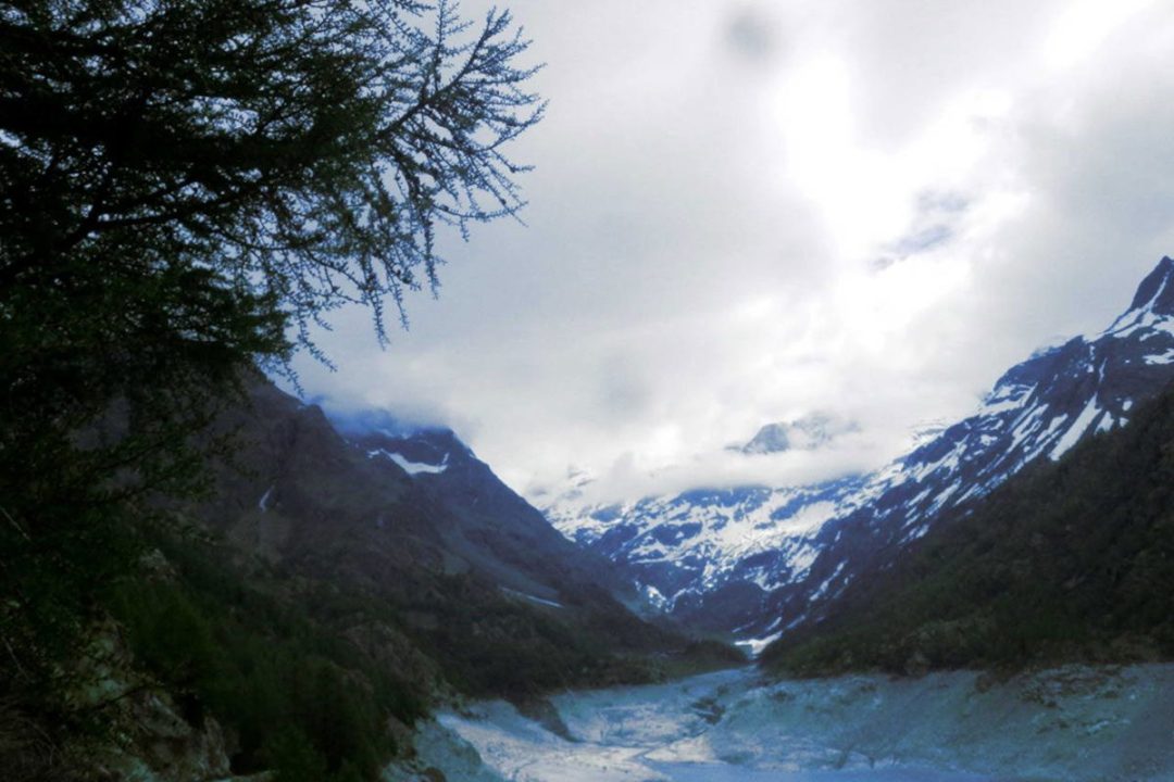 Projection | Viaggio a Montevideo, Giovanni Cioni